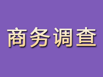 长泰商务调查